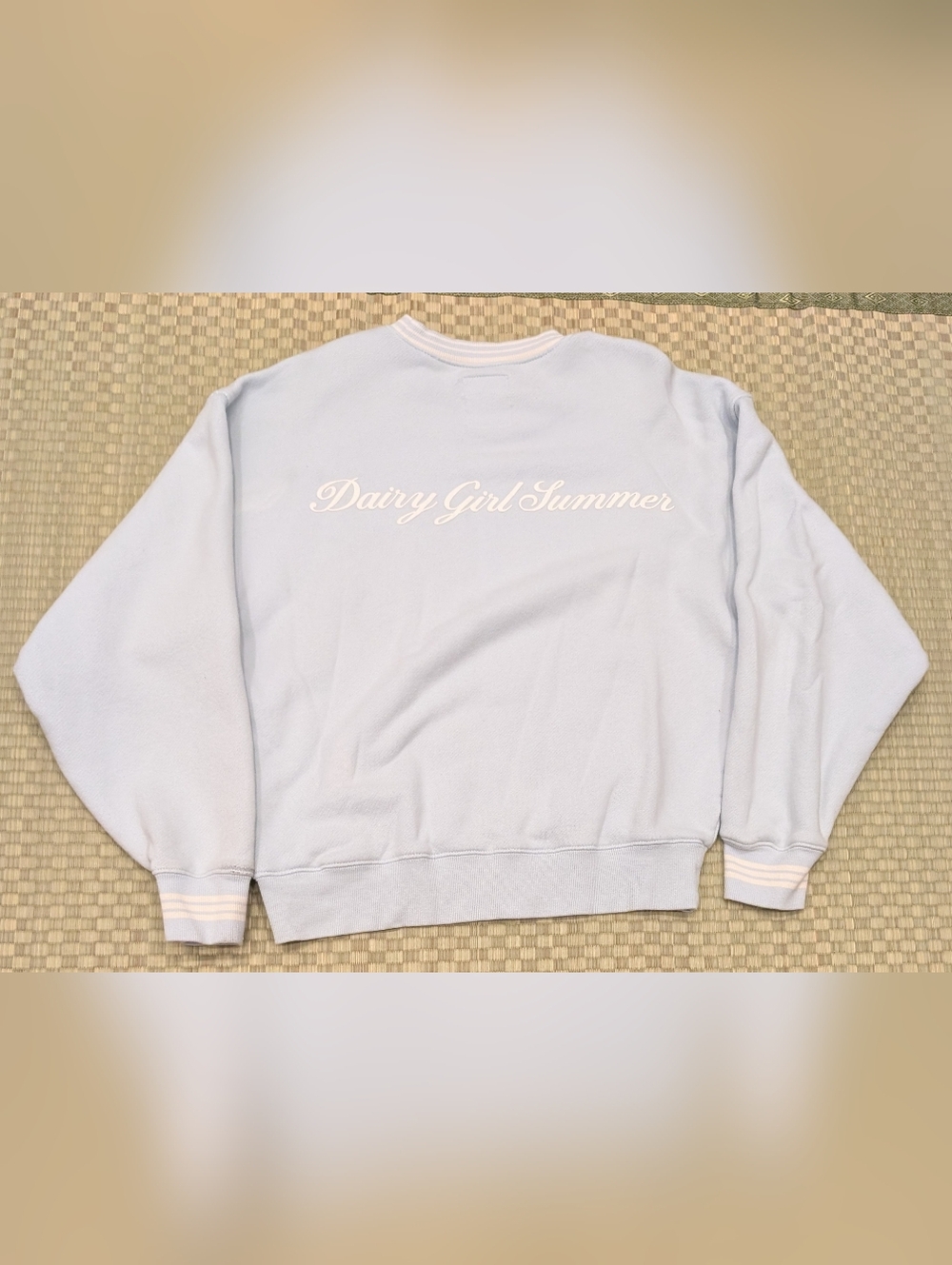 Dairy Boy Dairy Girl Summer 2024 Light Blue Sweatshirt Women's Size Small